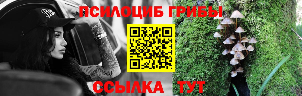 Галлюциногенные грибы GOLDEN TEACHER Ачинск